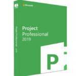 Microsoft Project Professional 2019