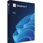 Windows 11 Pro (Профессиональная)