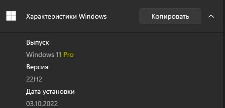 выпуск Pro win11
