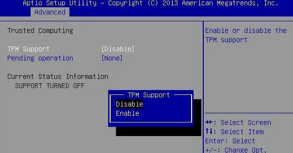 TPM support bios Aptio