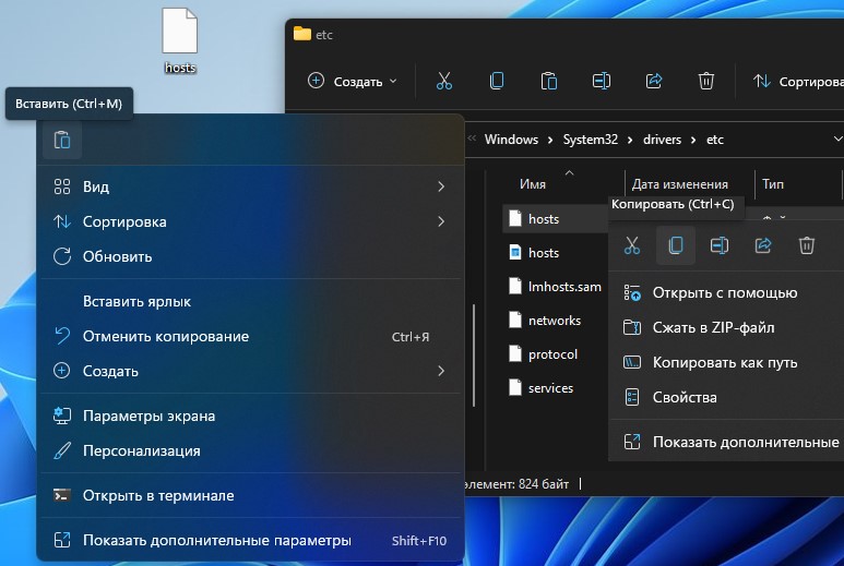 скопировать файл hosts