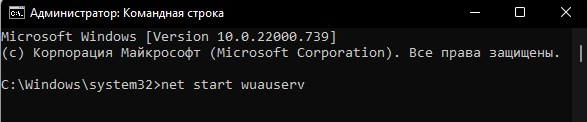 net start wuauserv
