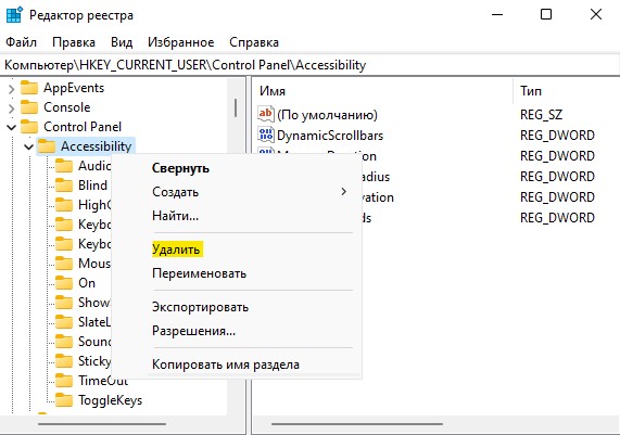 удалить ключ Accessibility