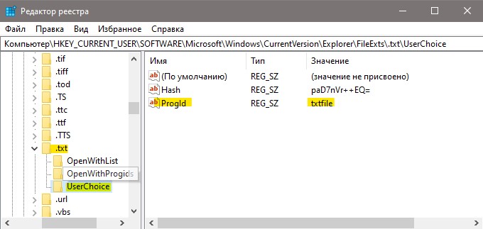 программное значение файла txt