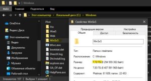 размер и путь папки WinSxS
