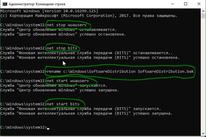 переименовать папку SoftwareDistribution