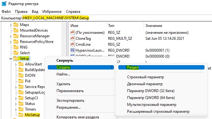 создать раздел MoSetup