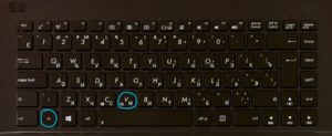 Fn+V включить отключить камеру
