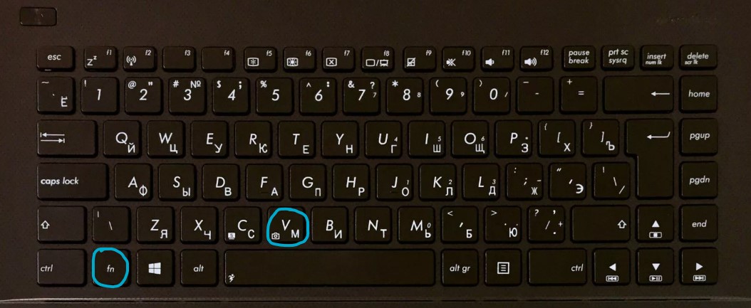Fn+V включить отключить камеру